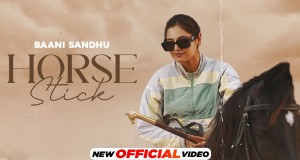 Horse Stick Music Video