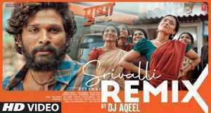 Srivalli Remix Videoclip