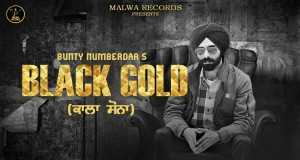 Black Gold Music Video