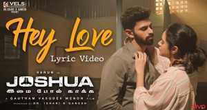 Hey Love Muzicki video
