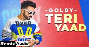 Teri Yaad ( Remix) Mūzikas video