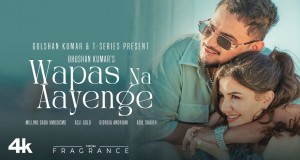 Wapas Na Aayenge Video Musik