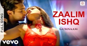 Zaalim Ishq Glasbeni video