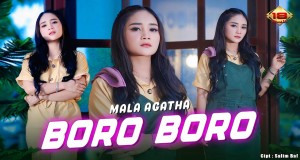 Boro Boro