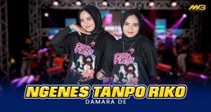 Ngenes Tanpo Riko Musik Video
