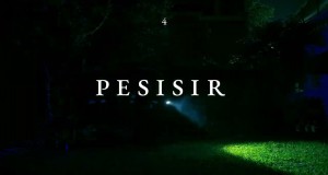 Pesisir Muziki wa video