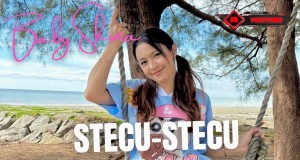 STECU STECU
