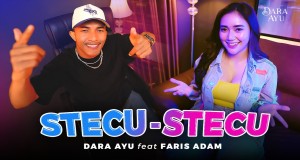 Stecu-Stecu
