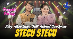 Stecu Stecu