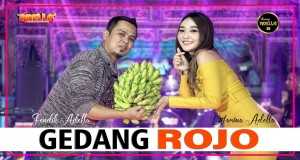 Gedang Rojo Music Video