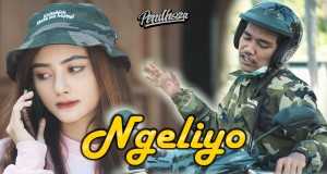 Ngeliyo