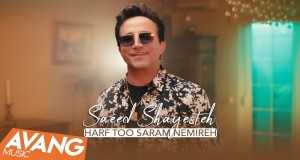 Harf Too Saram Nemireh