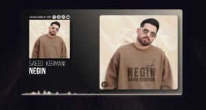 Negin