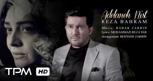 Adelaneh Nist Спот