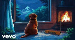 Your Dog
