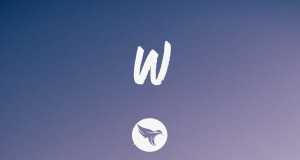 W Video musicale