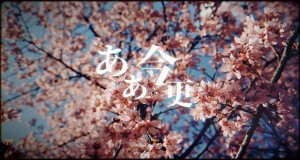 Flower Video musicale