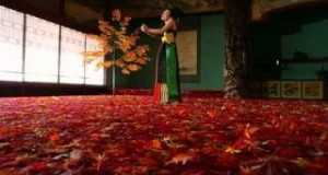 I Want To Meet You Videoclip