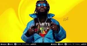 Party Musikvideo