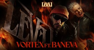 Level Video musicale
