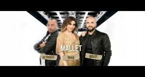 Song: Mallet