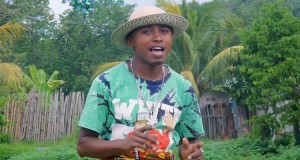 Lamban'akoho