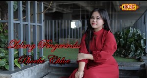 Lelang Pengerindu Müzik video