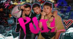 Pui