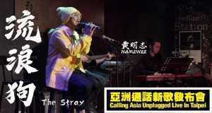 The Stray أغنية مصورة