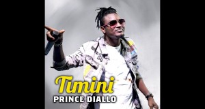 Timini Muziki wa video