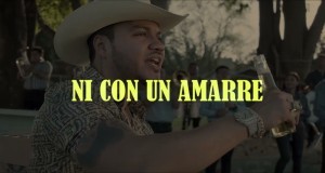 CHSM EL HÍGADO