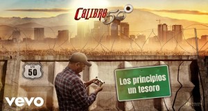 Los Principios Un Tesoro Video muzikore