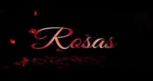 Rosas Videyo Mizik