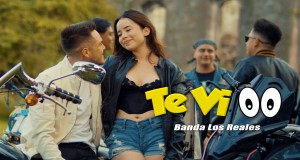 Te Vi
