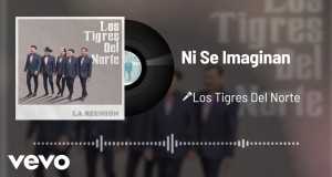 Ni Se Imaginan Music Video