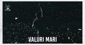 Valuri Mari