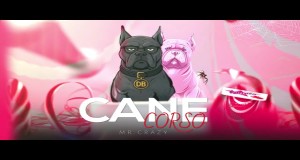 Cane Corso