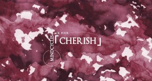 Cherish มิวสิควิดีโอ