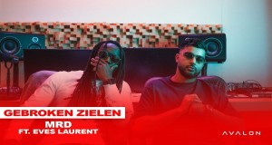 Gebroken Zielen
