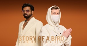 STORY OF A BIRD