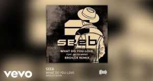 What Do You Love (Broiler Remix) Տեսահոլովակ