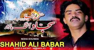 Maan Zainab A.s Haan Bin Chaadar Musik-Video
