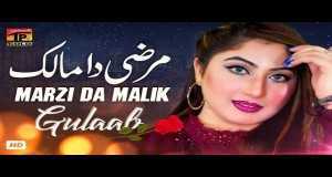 Marzi Da Malik มิวสิควิดีโอ