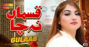 Qasman Na Cha Clip musical