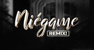 Niegame