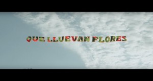Que Lluevan Flores