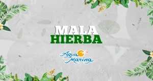 Mala Hierba Musiikkivideo