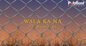 Wala Ka Na
