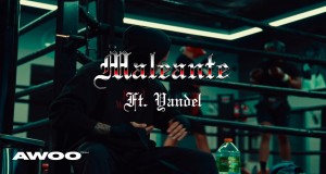 Maleante Video musical