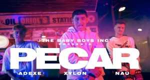 Pecar Video musical